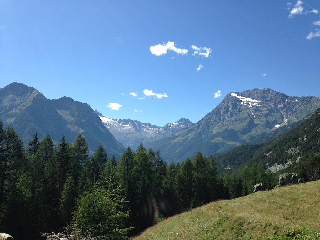 Sasso Nero Hotel Chiesa in Valmalenco Kültér fotó